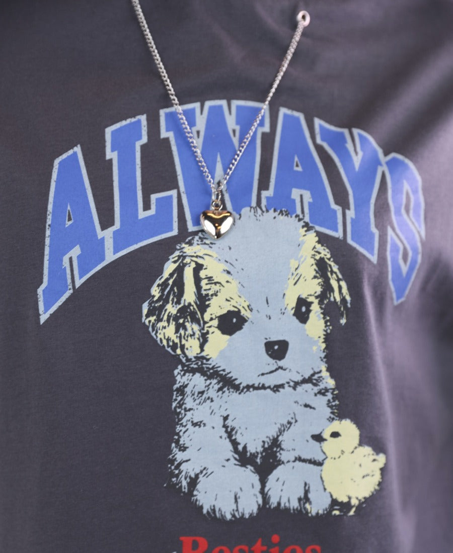 Dog t-shirt with silver chain