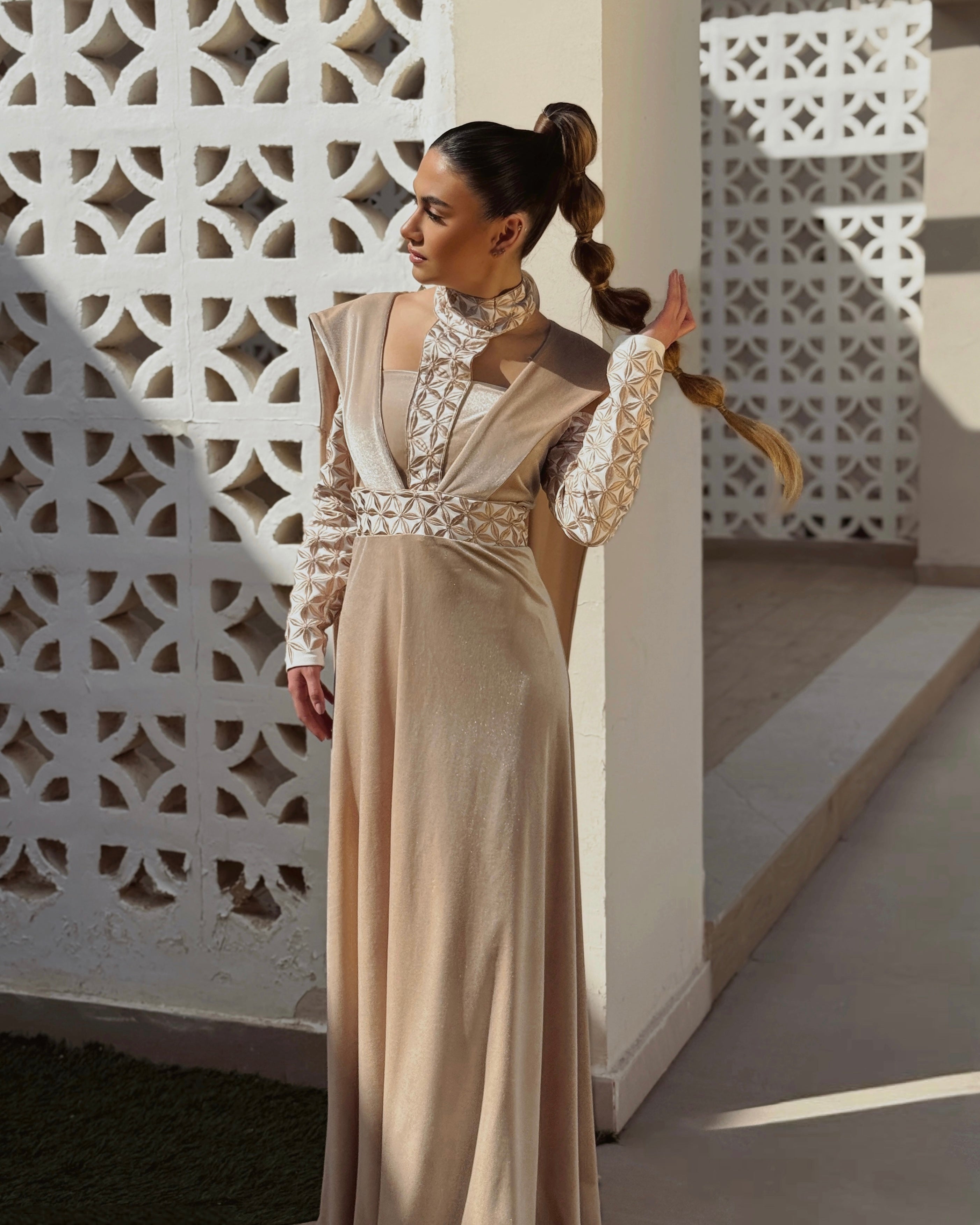 Detail velvet dress with embroidery on the chest and sleeves