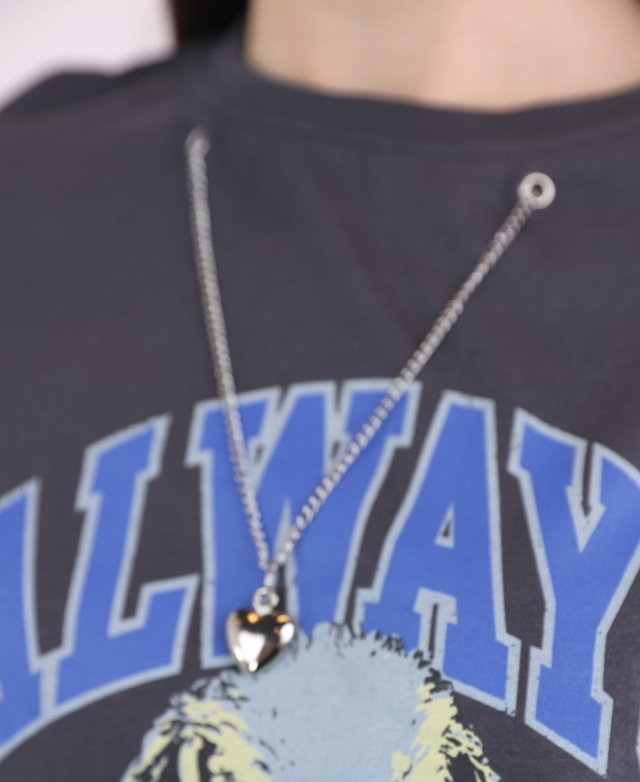 Dog t-shirt with silver chain